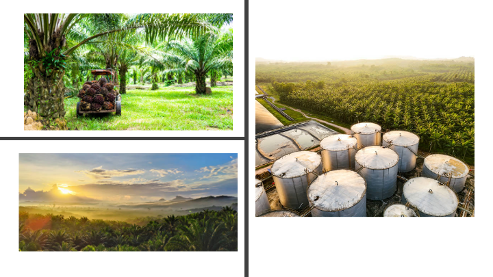 Every Drop Delivers 6